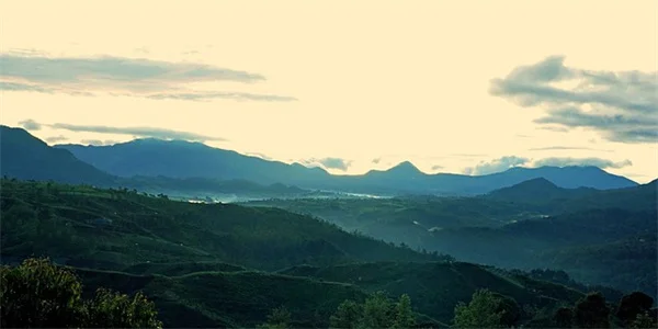 Whole Grains vs. Refined Grains: Which Is Better for Your Heart?