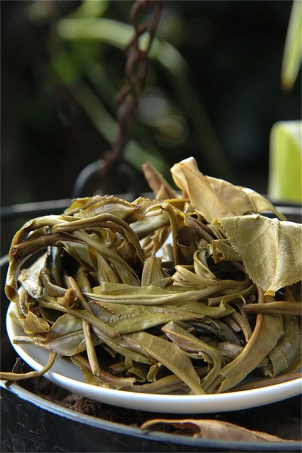 Drug-Resistant Shigella Outbreak: CDC Warns of Rising Cases